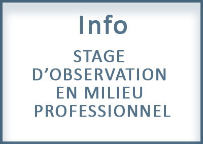 STAGE D’OBSERVATION EN MILIEU PROFESSIONNEL